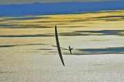 110924-menez-6891.jpg