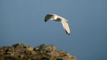 110922-pteduraz-174.jpg