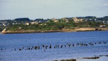 110915-rostellec-009.jpg