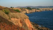 111001-telgruc-100.jpg