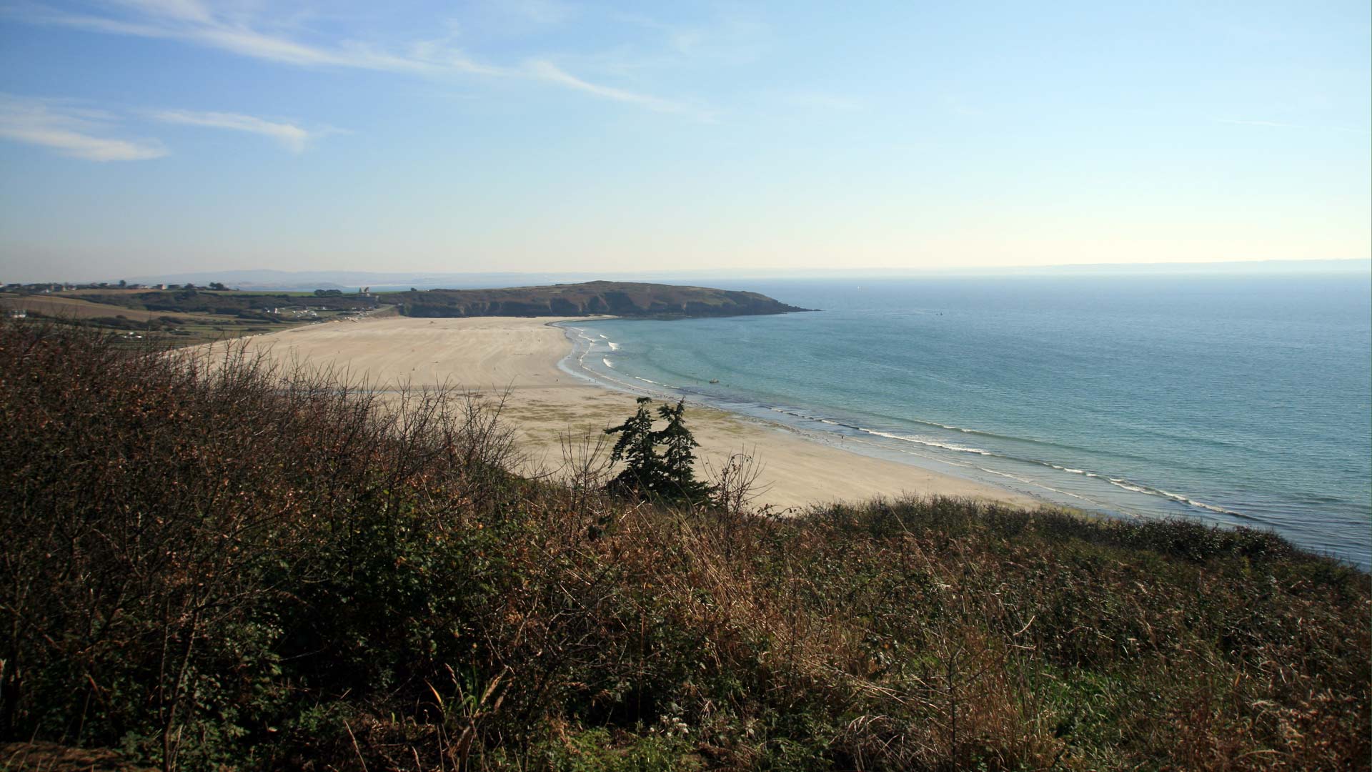 111001-telgruc-01.jpg