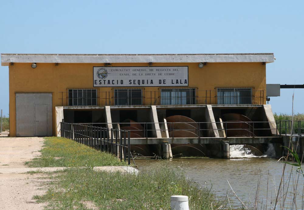 110517-delta-ebre-sud-020.jpg