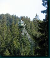 03-08-12-saanen-033.jpg