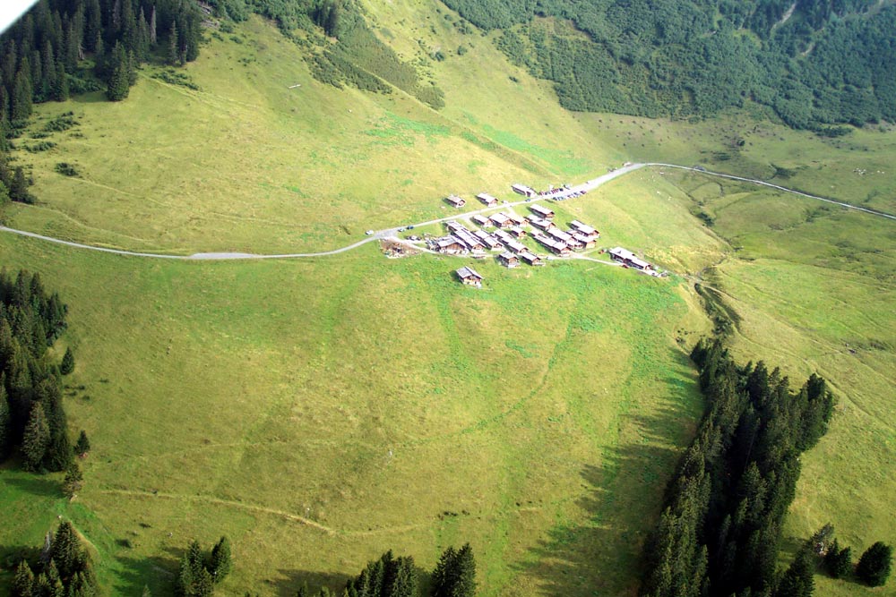 03-08-15-taveyanne-03.jpg