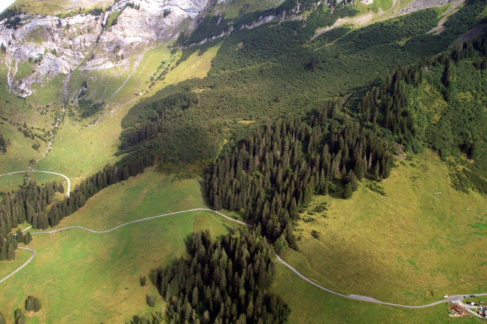 03-08-15-taveyanne-05.jpg