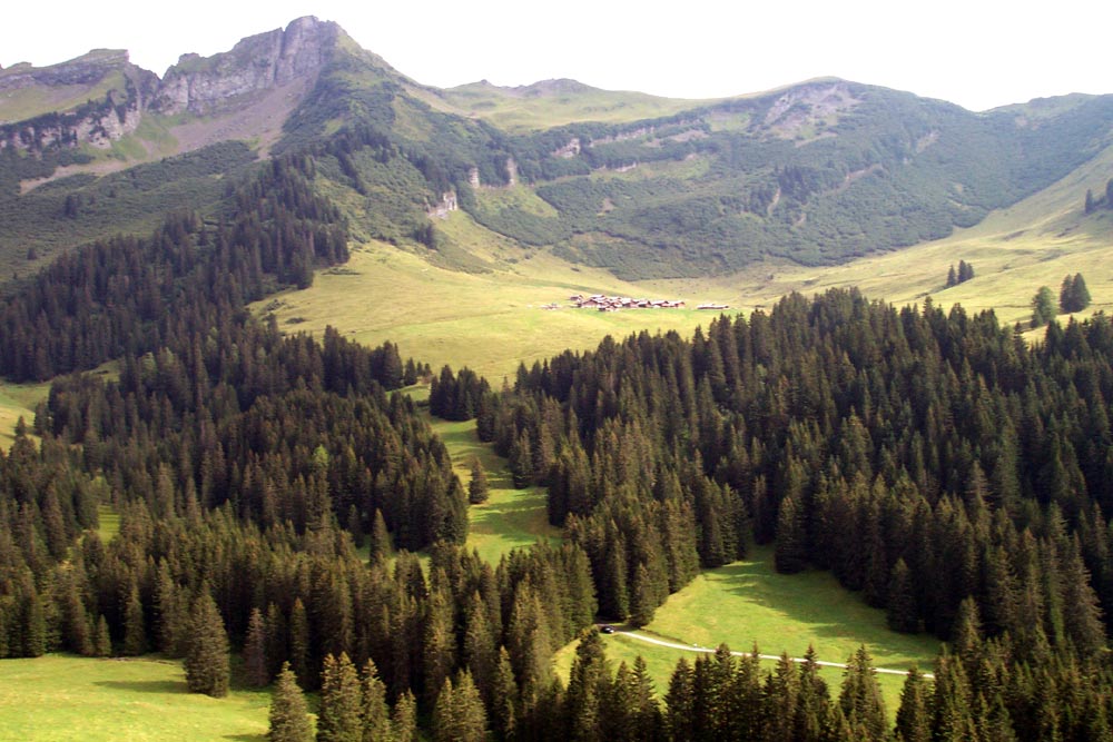 03-08-15-taveyanne-08.jpg