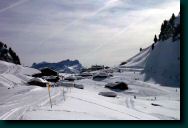 03-03-14-bretaye-1742.jpg