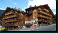 03-08-13-villars-0923.jpg