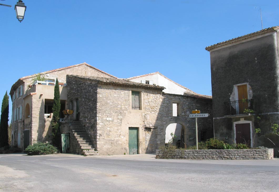 05-04-01-garigues-sol-13.jpg