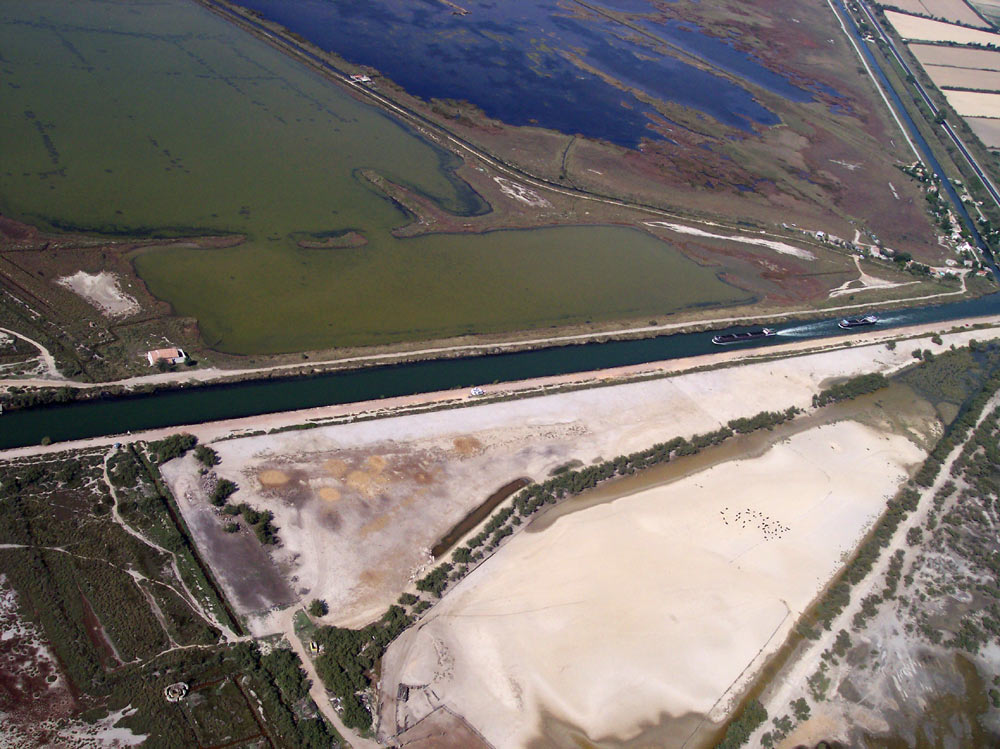 04-10-01-lagrandemotte-028.jpg