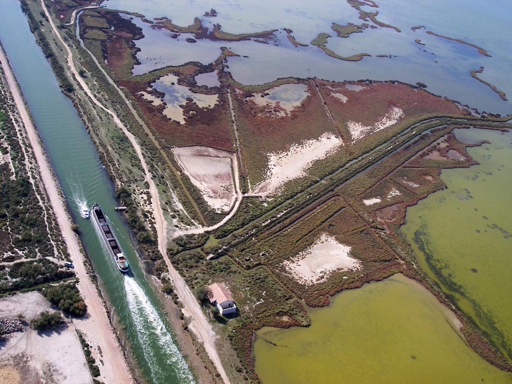 04-10-01-lagrandemotte-043.jpg