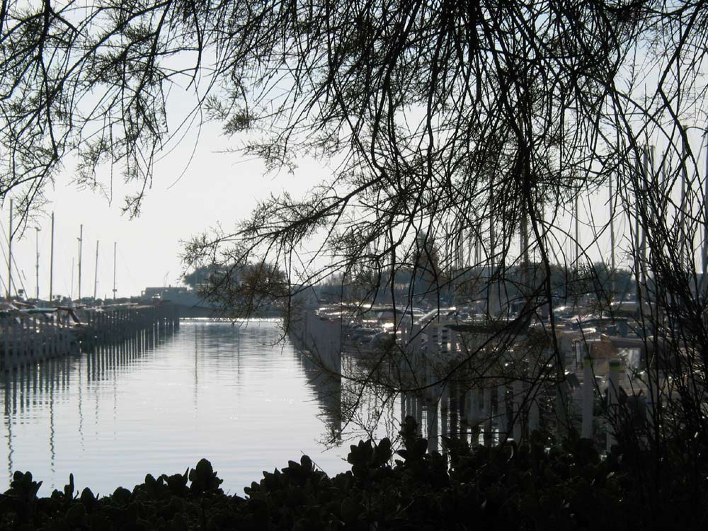 04-10-01-lagrandemotte-082.jpg