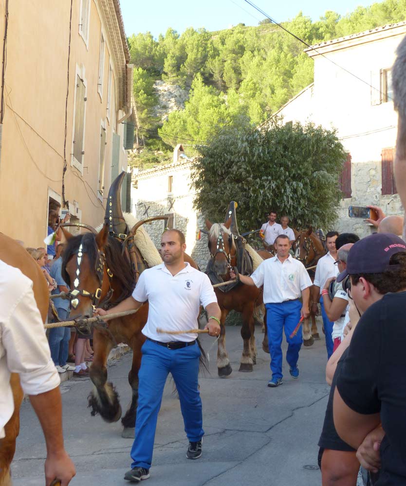 140830-boulbon-633.jpg