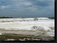 04-09-28-salindegiraud-033.jpg