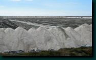 04-09-28-salindegiraud-06.jpg