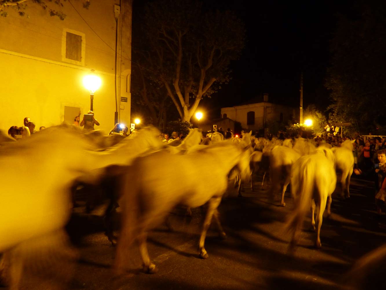 140817-chevaux-617.jpg