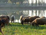 141030-barreau-24.jpg