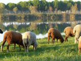 141030-barreau-51.jpg