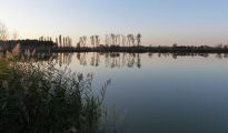 141030-barreau-67.jpg