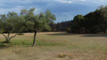 220728-frigolet-0380.jpg