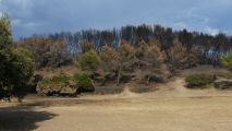 220728-frigolet-0382.jpg