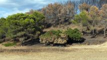 220728-frigolet-0387.jpg